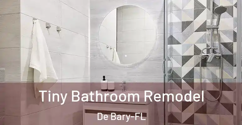 inner Bathroom imggen Tiny Bathroom Remodel De Bary-FL