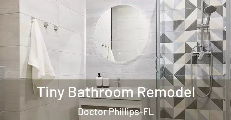 inner Bathroom imggen Tiny Bathroom Remodel Doctor Phillips-FL