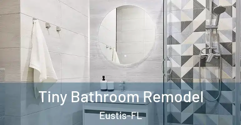 inner Bathroom imggen Tiny Bathroom Remodel Eustis-FL