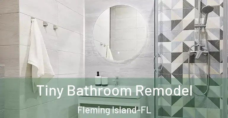 inner Bathroom imggen Tiny Bathroom Remodel Fleming Island-FL