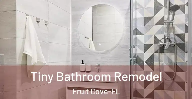 inner Bathroom imggen Tiny Bathroom Remodel Fruit Cove-FL