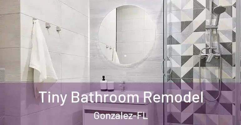 inner Bathroom imggen Tiny Bathroom Remodel Gonzalez-FL