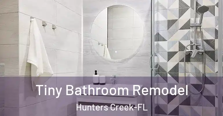 inner Bathroom imggen Tiny Bathroom Remodel Hunters Creek-FL