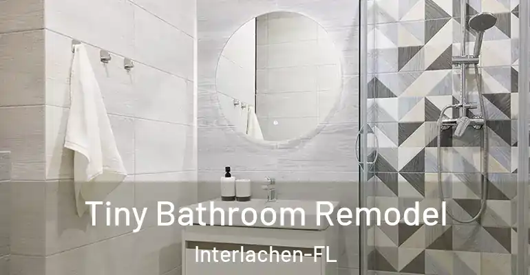 inner Bathroom imggen Tiny Bathroom Remodel Interlachen-FL