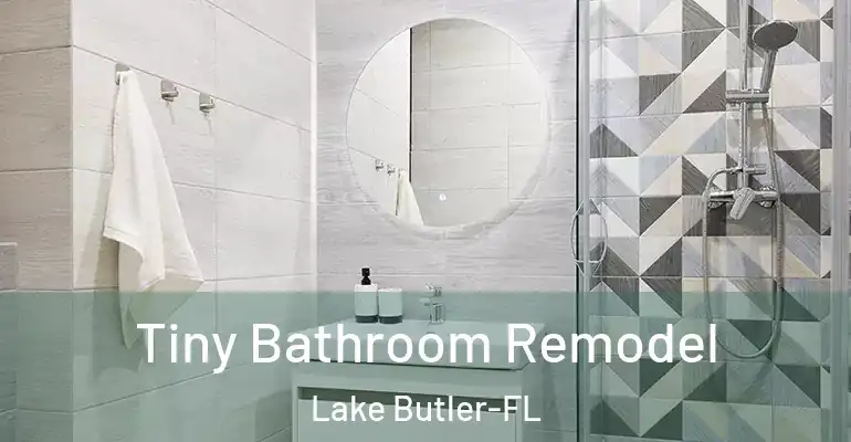 inner Bathroom imggen Tiny Bathroom Remodel Lake Butler-FL
