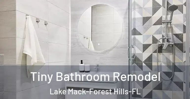 inner Bathroom imggen Tiny Bathroom Remodel Lake Mack-Forest Hills-FL