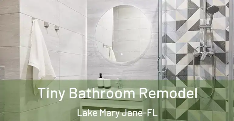 inner Bathroom imggen Tiny Bathroom Remodel Lake Mary Jane-FL