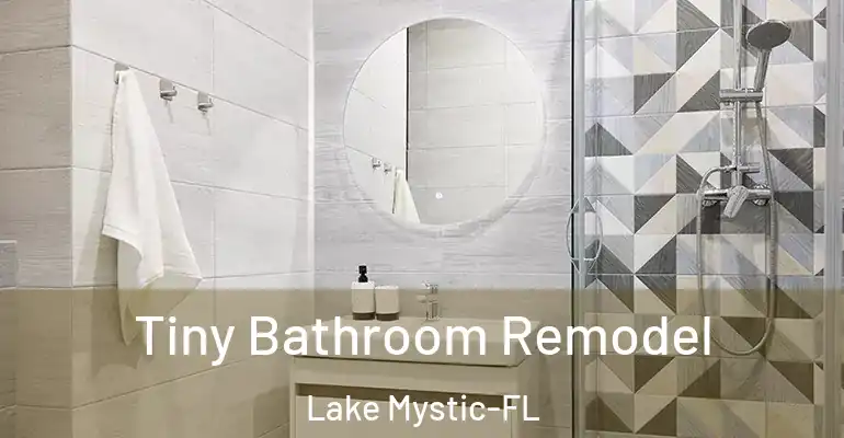 inner Bathroom imggen Tiny Bathroom Remodel Lake Mystic-FL