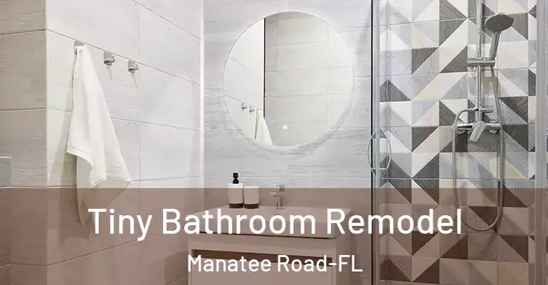 inner Bathroom imggen Tiny Bathroom Remodel Manatee Road-FL