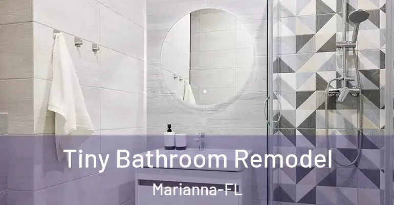 inner Bathroom imggen Tiny Bathroom Remodel Marianna-FL