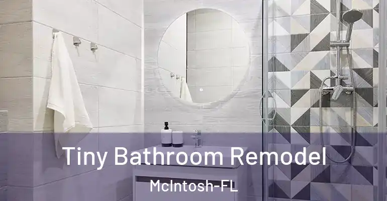 inner Bathroom imggen Tiny Bathroom Remodel McIntosh-FL