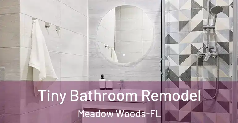 inner Bathroom imggen Tiny Bathroom Remodel Meadow Woods-FL