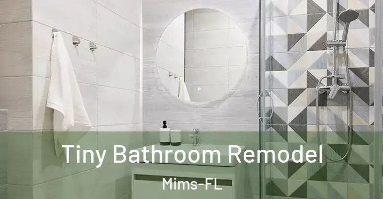 inner Bathroom imggen Tiny Bathroom Remodel Mims-FL