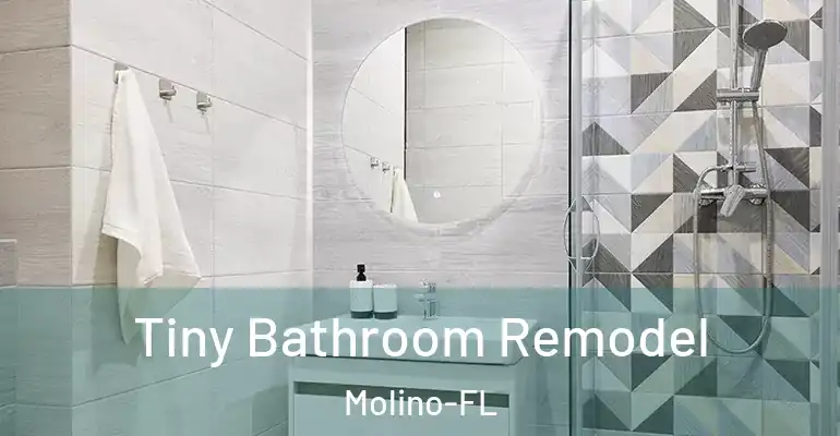 inner Bathroom imggen Tiny Bathroom Remodel Molino-FL