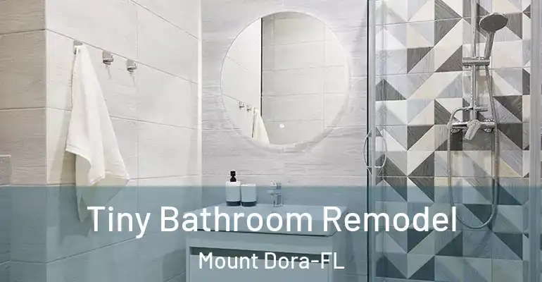 inner Bathroom imggen Tiny Bathroom Remodel Mount Dora-FL