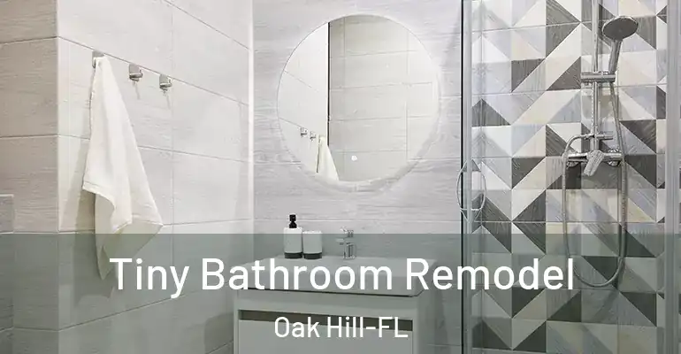 inner Bathroom imggen Tiny Bathroom Remodel Oak Hill-FL