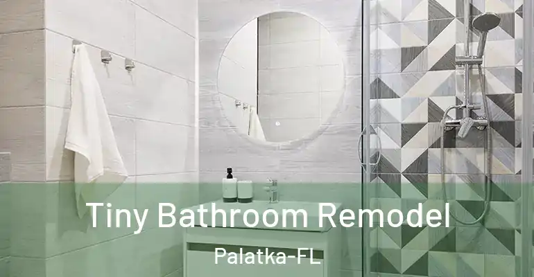 inner Bathroom imggen Tiny Bathroom Remodel Palatka-FL