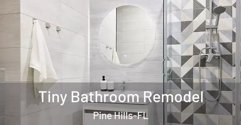 inner Bathroom imggen Tiny Bathroom Remodel Pine Hills-FL