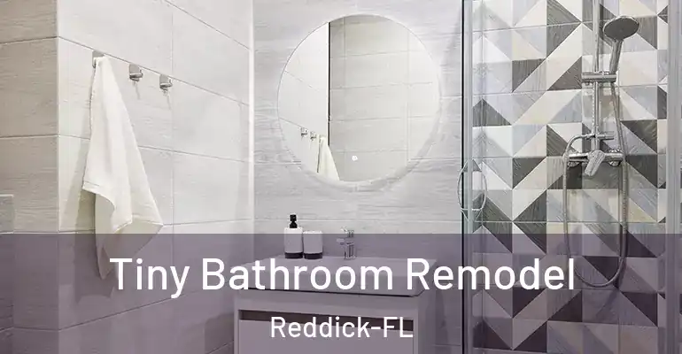 inner Bathroom imggen Tiny Bathroom Remodel Reddick-FL
