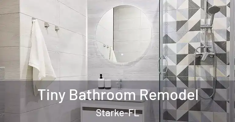 inner Bathroom imggen Tiny Bathroom Remodel Starke-FL