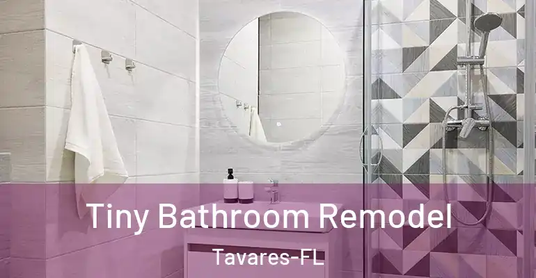 inner Bathroom imggen Tiny Bathroom Remodel Tavares-FL