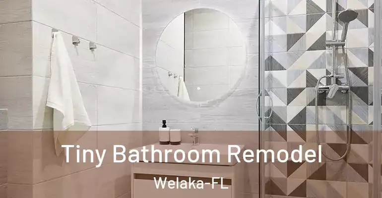 inner Bathroom imggen Tiny Bathroom Remodel Welaka-FL