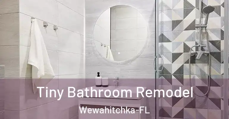 inner Bathroom imggen Tiny Bathroom Remodel Wewahitchka-FL
