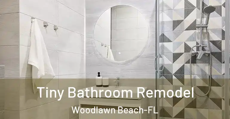 inner Bathroom imggen Tiny Bathroom Remodel Woodlawn Beach-FL