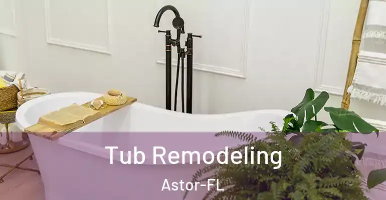 inner Bathroom imggen Tub Remodeling Astor-FL