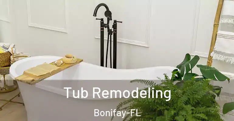 inner Bathroom imggen Tub Remodeling Bonifay-FL