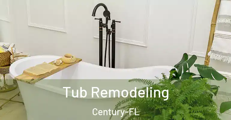 inner Bathroom imggen Tub Remodeling Century-FL