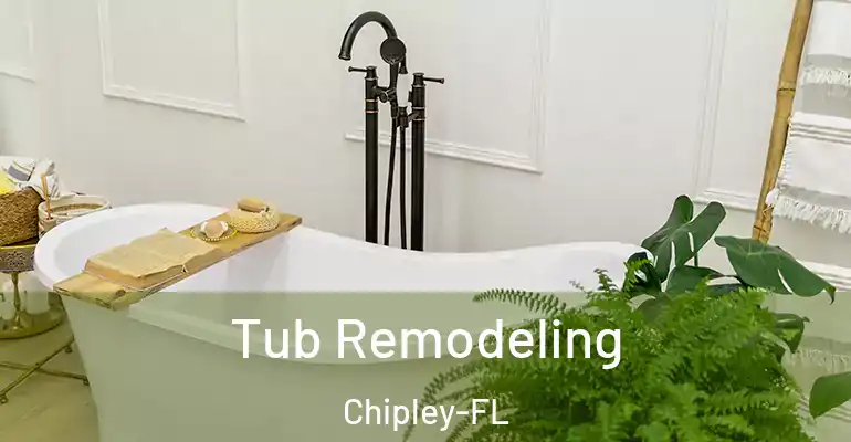 inner Bathroom imggen Tub Remodeling Chipley-FL