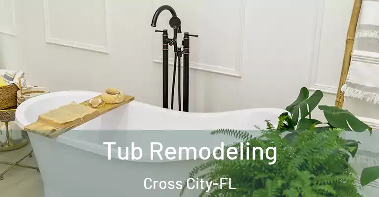 inner Bathroom imggen Tub Remodeling Cross City-FL