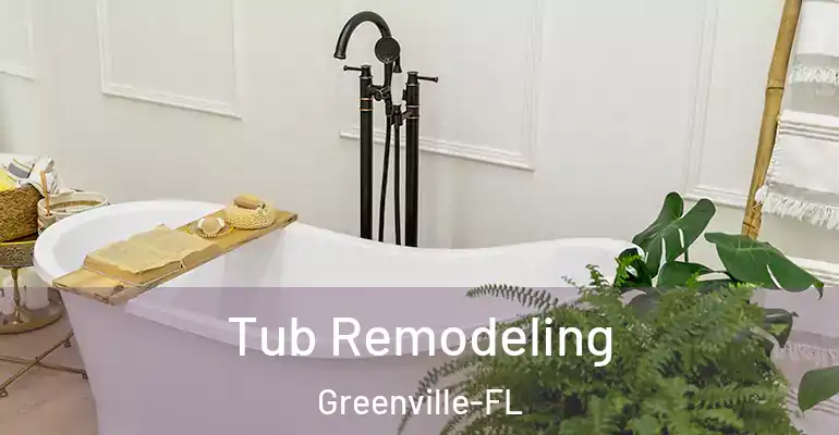 inner Bathroom imggen Tub Remodeling Greenville-FL