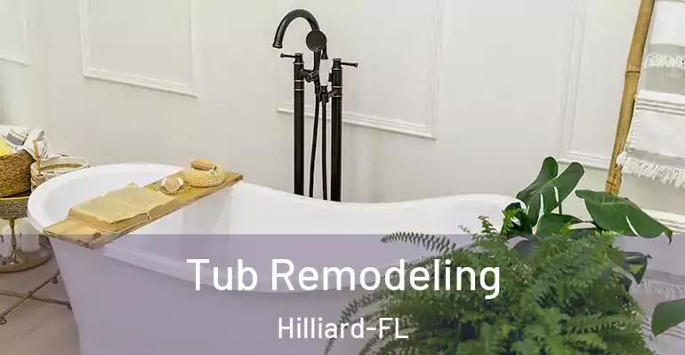 inner Bathroom imggen Tub Remodeling Hilliard-FL