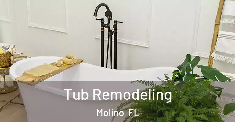 inner Bathroom imggen Tub Remodeling Molino-FL