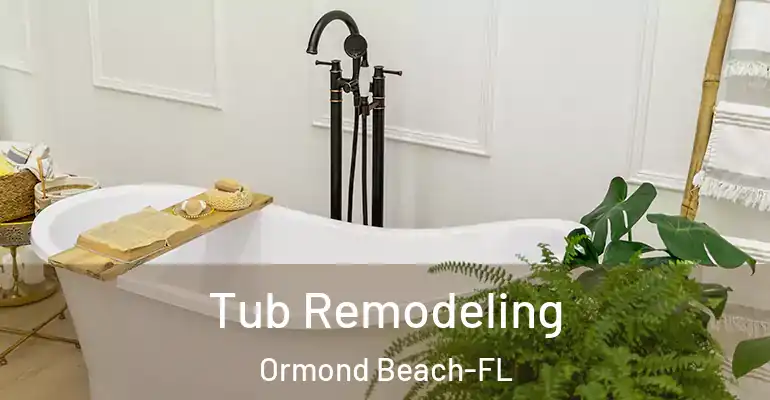 inner Bathroom imggen Tub Remodeling Ormond Beach-FL
