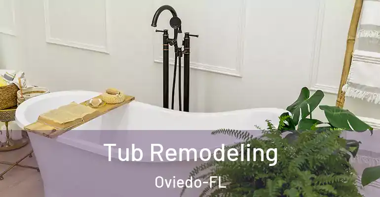 inner Bathroom imggen Tub Remodeling Oviedo-FL