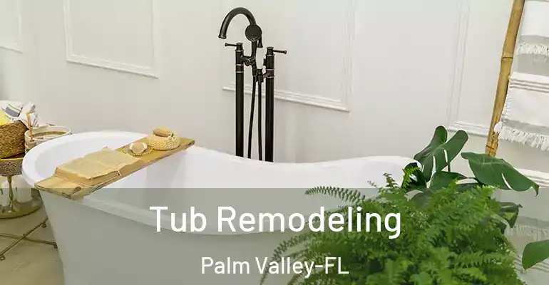 inner Bathroom imggen Tub Remodeling Palm Valley-FL