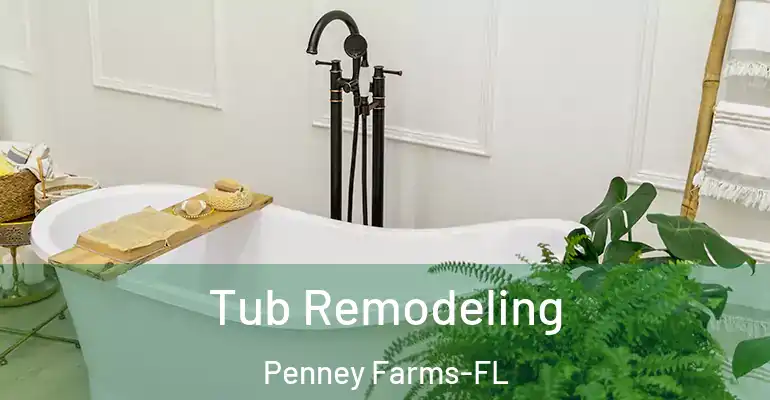 inner Bathroom imggen Tub Remodeling Penney Farms-FL