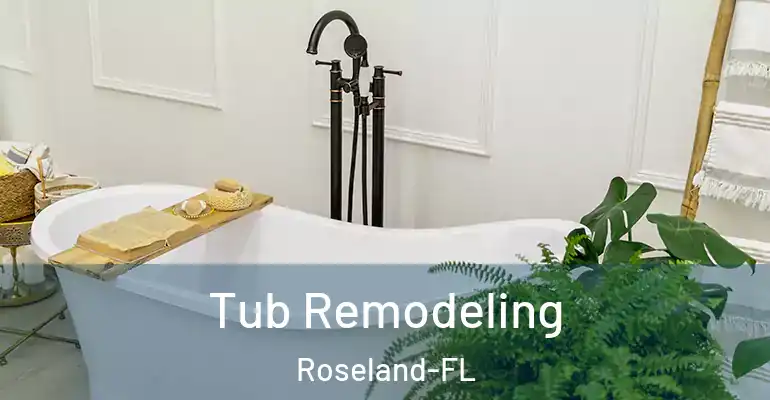 inner Bathroom imggen Tub Remodeling Roseland-FL