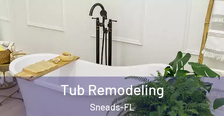 inner Bathroom imggen Tub Remodeling Sneads-FL