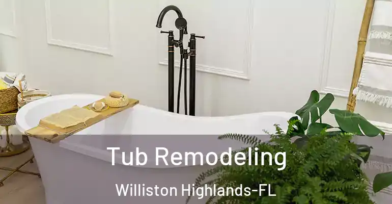 inner Bathroom imggen Tub Remodeling Williston Highlands-FL