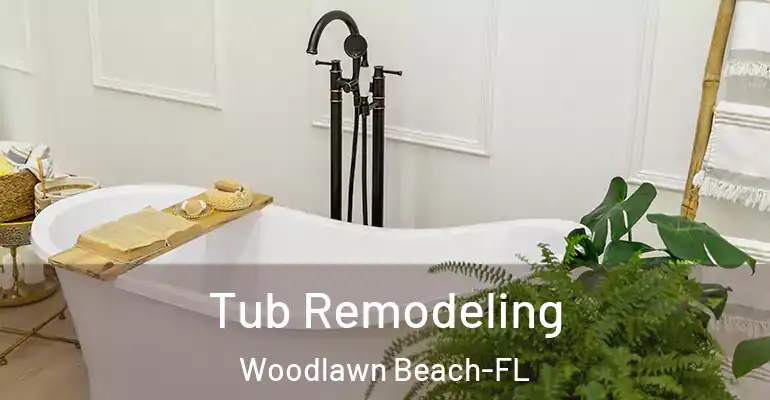 inner Bathroom imggen Tub Remodeling Woodlawn Beach-FL
