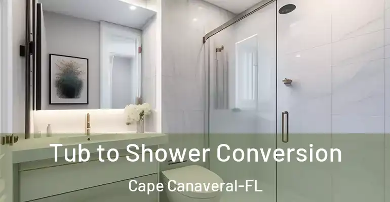 inner Bathroom imggen Tub to Shower Conversion Cape Canaveral-FL
