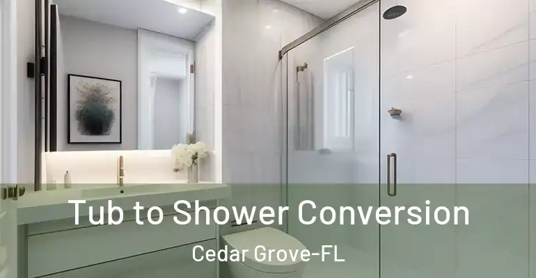 inner Bathroom imggen Tub to Shower Conversion Cedar Grove-FL