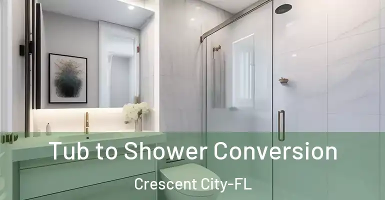 inner Bathroom imggen Tub to Shower Conversion Crescent City-FL