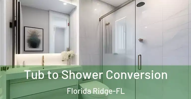 inner Bathroom imggen Tub to Shower Conversion Florida Ridge-FL