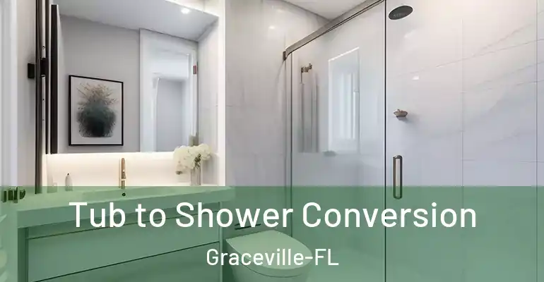 inner Bathroom imggen Tub to Shower Conversion Graceville-FL