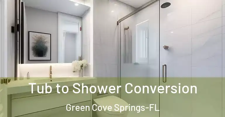 inner Bathroom imggen Tub to Shower Conversion Green Cove Springs-FL